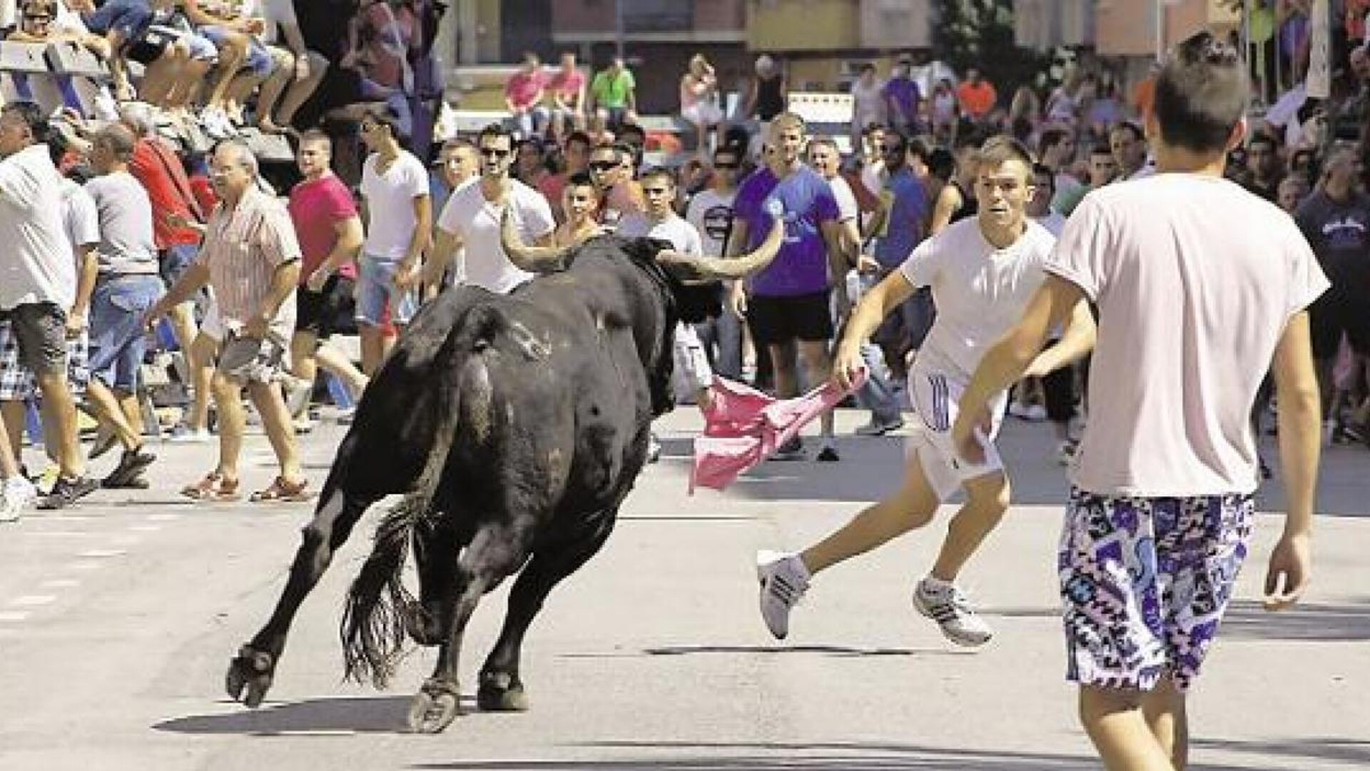 Una Pe A Taurina De Quart De Poblet Denuncia Al Ayuntamiento Las